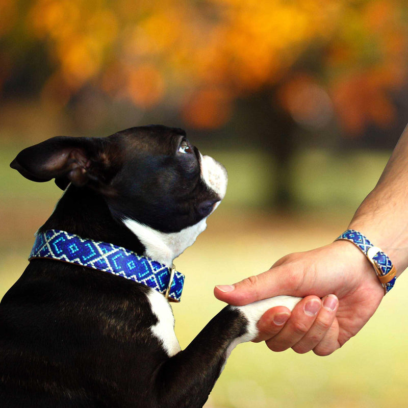 Friendship Collar-The Mucky Pup